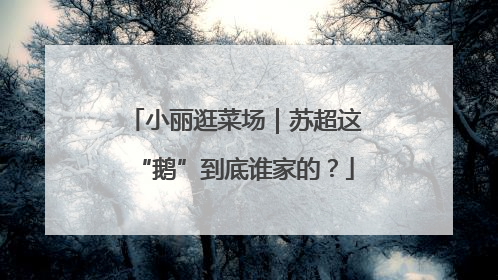 小丽逛菜场｜苏超这“鹅”到底谁家的？