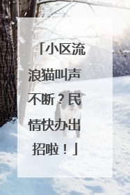 小区流浪猫叫声不断？民情快办出招啦！