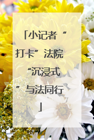 小记者“打卡”法院 “沉浸式”与法同行
