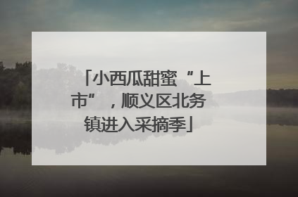 小西瓜甜蜜“上市”，顺义区北务镇进入采摘季