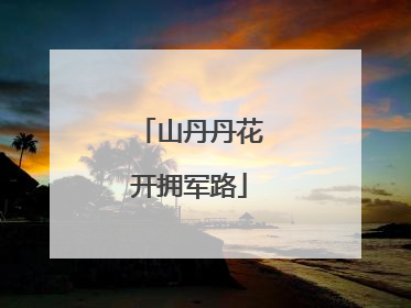山丹丹花开拥军路