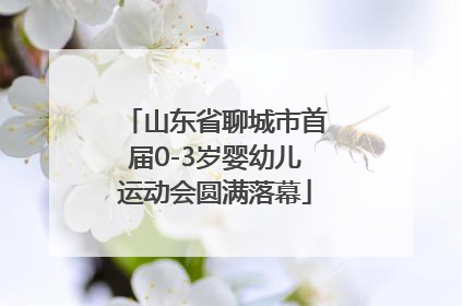 山东省聊城市首届0-3岁婴幼儿运动会圆满落幕