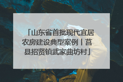 山东省首批现代宜居农房建设典型案例丨莒县招贤镇武家曲坊村