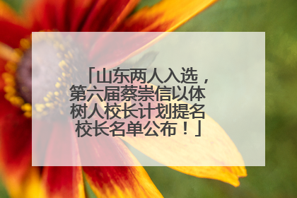 山东两人入选，第六届蔡崇信以体树人校长计划提名校长名单公布！