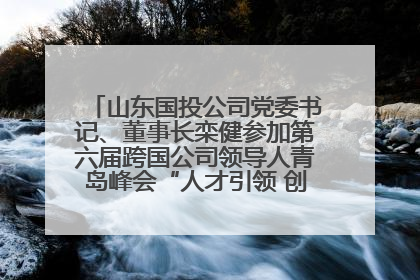 山东国投公司党委书记、董事长栾健参加第六届跨国公司领导人青岛峰会“人才引领 创新驱动”人力资源高质量发展对话会