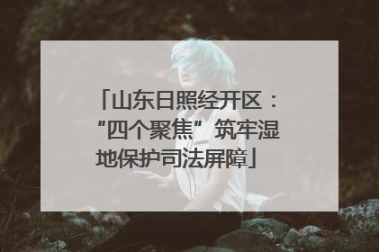 山东日照经开区：“四个聚焦”筑牢湿地保护司法屏障