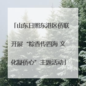 山东日照东港区侨联开展“粽香传四海 文化凝侨心”主题活动