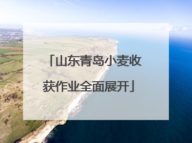 山东青岛小麦收获作业全面展开