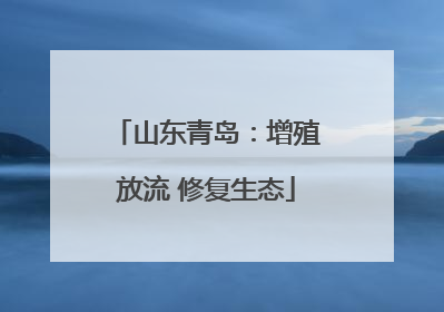 山东青岛：增殖放流 修复生态