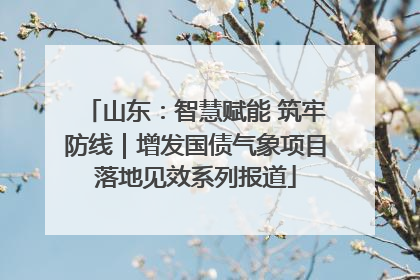 山东：智慧赋能 筑牢防线｜增发国债气象项目落地见效系列报道