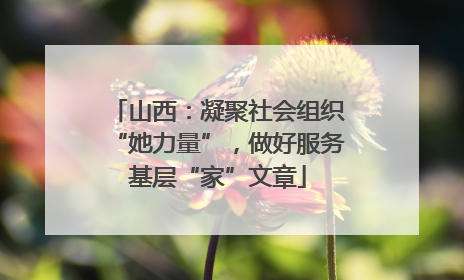 山西：凝聚社会组织“她力量”，做好服务基层“家”文章
