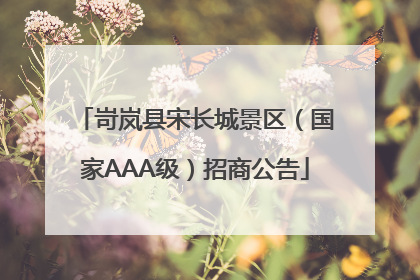 岢岚县宋长城景区（国家AAA级）招商公告