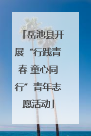 岳池县开展“行践青春 童心同行”青年志愿活动