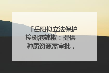 岳阳拟立法保护樟树港辣椒：提供种质资源需审批，违规最高罚5万