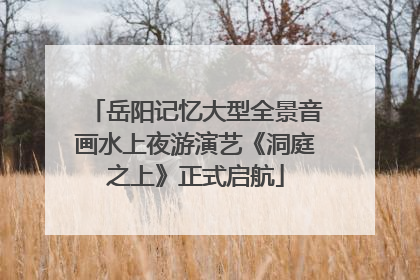 岳阳记忆大型全景音画水上夜游演艺《洞庭之上》正式启航