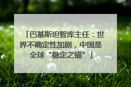 巴基斯坦智库主任：世界不确定性加剧，中国是全球“稳定之锚”