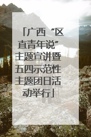 广西“区直青年说”主题宣讲暨五四示范性主题团日活动举行