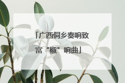 广西侗乡奏响致富“椒”响曲