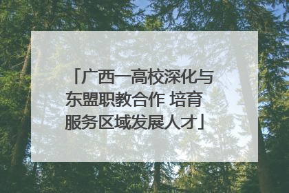 广西一高校深化与东盟职教合作 培育服务区域发展人才