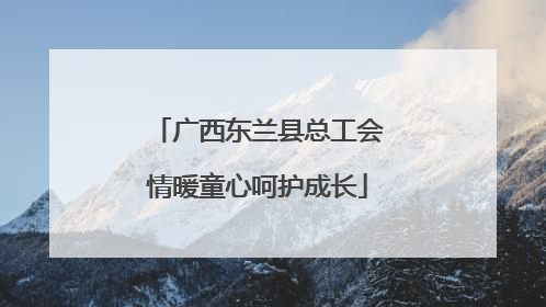 广西东兰县总工会情暖童心呵护成长