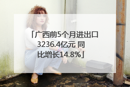 广西前5个月进出口3236.4亿元 同比增长14.8%