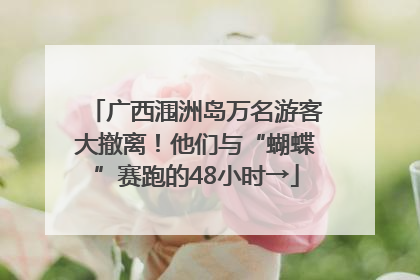 广西涠洲岛万名游客大撤离！他们与“蝴蝶”赛跑的48小时→