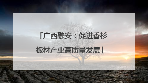 广西融安：促进香杉板材产业高质量发展