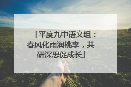 平度九中语文组：春风化雨润桃李，共研深思促成长