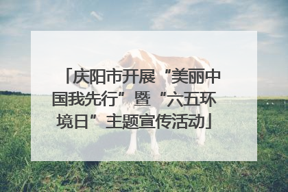 庆阳市开展“美丽中国我先行”暨“六五环境日”主题宣传活动