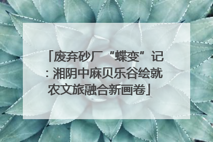 废弃砂厂“蝶变”记：湘阴中麻贝乐谷绘就农文旅融合新画卷