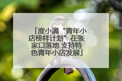 度小满“青年小店榜样计划”在张家口落地 支持特色青年小店发展