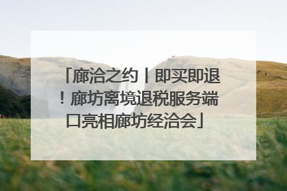 廊洽之约丨即买即退！廊坊离境退税服务端口亮相廊坊经洽会