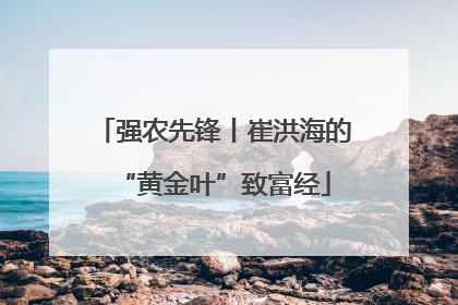 强农先锋丨崔洪海的“黄金叶”致富经