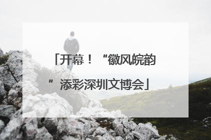 开幕！“徽风皖韵”添彩深圳文博会