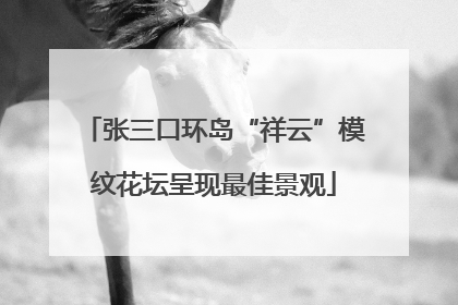 张三口环岛“祥云”模纹花坛呈现最佳景观