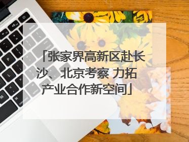 张家界高新区赴长沙、北京考察 力拓产业合作新空间