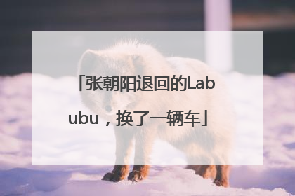 张朝阳退回的Labubu，换了一辆车