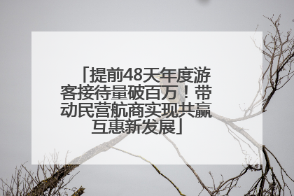 提前48天年度游客接待量破百万！带动民营航商实现共赢互惠新发展