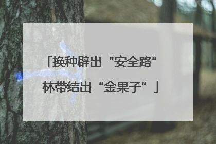 换种辟出“安全路” 林带结出“金果子”