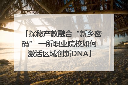 探秘产教融合“新乡密码” 一所职业院校如何激活区域创新DNA