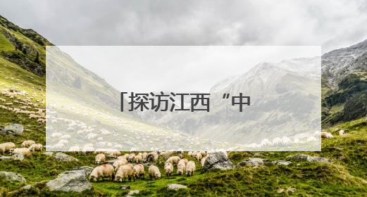 探访江西“中医夜市”：当药香邂逅烟火气