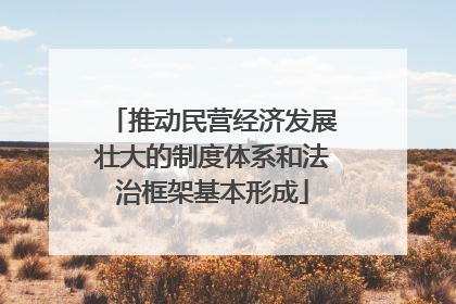 推动民营经济发展壮大的制度体系和法治框架基本形成
