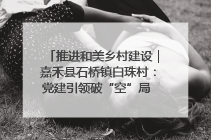 推进和美乡村建设｜嘉禾县石桥镇白珠村：党建引领破“空”局 乡贤聚力绘就新图景