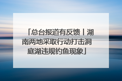 总台报道有反馈丨湖南两地采取行动打击洞庭湖违规钓鱼现象