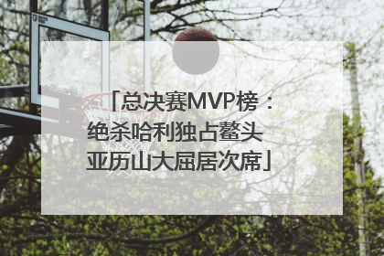 总决赛MVP榜：绝杀哈利独占鳌头 亚历山大屈居次席