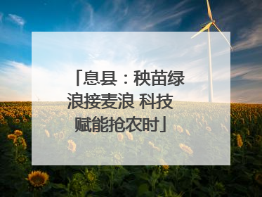 息县：秧苗绿浪接麦浪 科技赋能抢农时