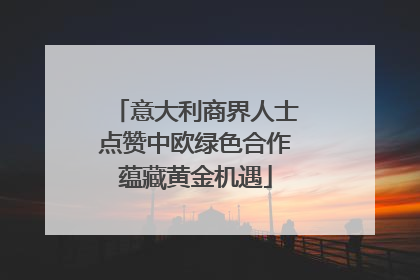意大利商界人士点赞中欧绿色合作蕴藏黄金机遇