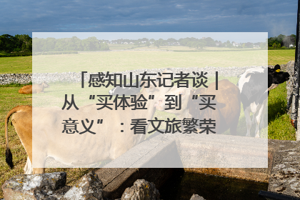 感知山东记者谈｜从“买体验”到“买意义”：看文旅繁荣背后的幸福新定义