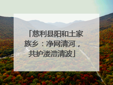慈利县阳和土家族乡：净网清河，共护溇澧清波