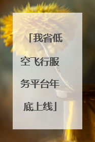 我省低空飞行服务平台年底上线